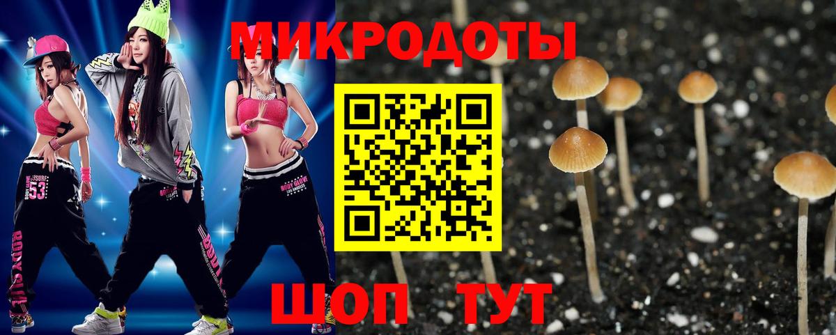 Самара  Псилоцибиновые грибы Psilocybe  Вход с VPN  Галлюциногенные грибы GOLDEN TEACHER 