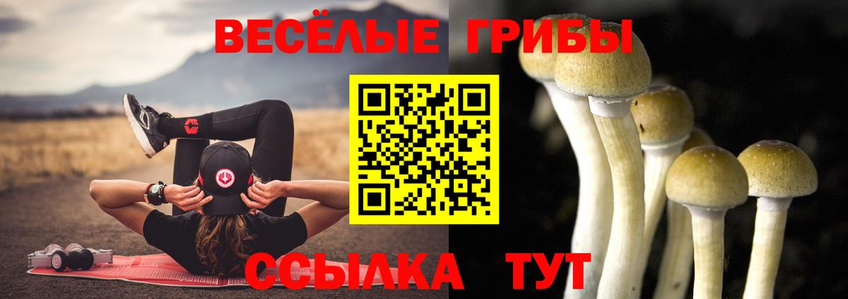 Псилоцибиновые грибы прущие грибы Самара